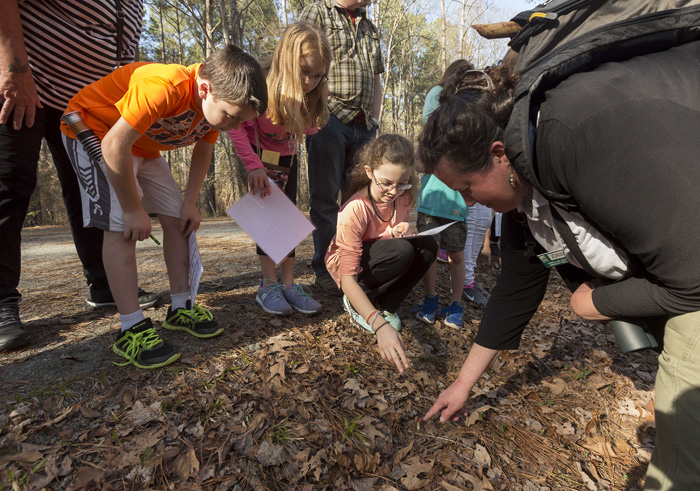 Leader Joanne St. Clair crouches in the forest bracken, nudging aside leaves to reveal a tiny specimen. “It’s a little stunted, but that’s a mushroom,” she says. Alex Erling, 9, left, Meredith Overcash, 10, and her sister Norah, 12, gather around to look so they can mark off the mushroom square on their bingo cards. 