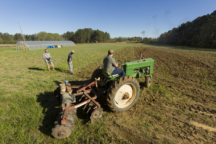 David Barbee, who grew up on a small farm outside Charlotte, pilots his tractor at Good Hope Farm. He plans to grow ginger and turmeric with his partner Michael Carpenter, and likes that the farm is close to consumers who value the aromatic spices.