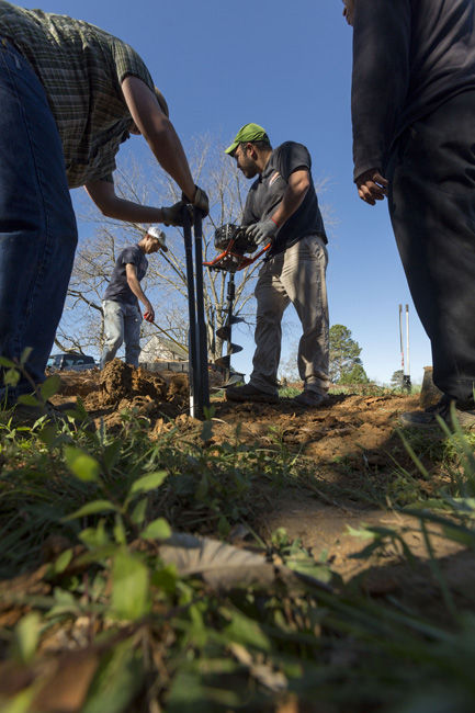 Cary native Michael Carpenter, center, digs holes for a deer fence at Good Hope Farm. The avid gardener keeps chickens and bees, and has grown ginger and turmeric for years. “It was delicious, then I found out it was useful medicinally,” he says.