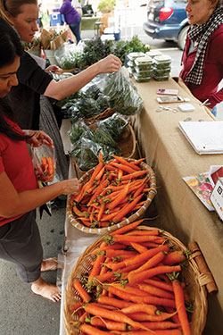 MorrisvFarmMkt0044