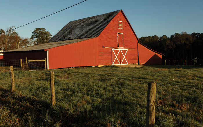 “As long as I’m living, I’ll be doing some type of farming. It’s kind of in your blood, but it’s not a mainstay like it used to be.” David Ferrell, Green Acres Farm