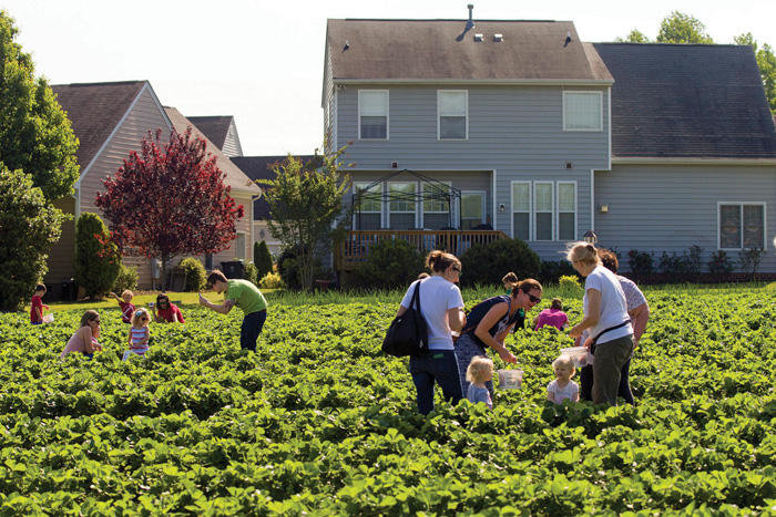 “It’s an advantage to have the farm around the houses,” says Darin Jones of DJ’s Berry Patch. “But if it keeps going the way it’s going, there’s not going to be any farmland left anywhere.”