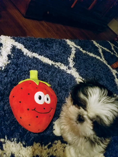 Strawberry