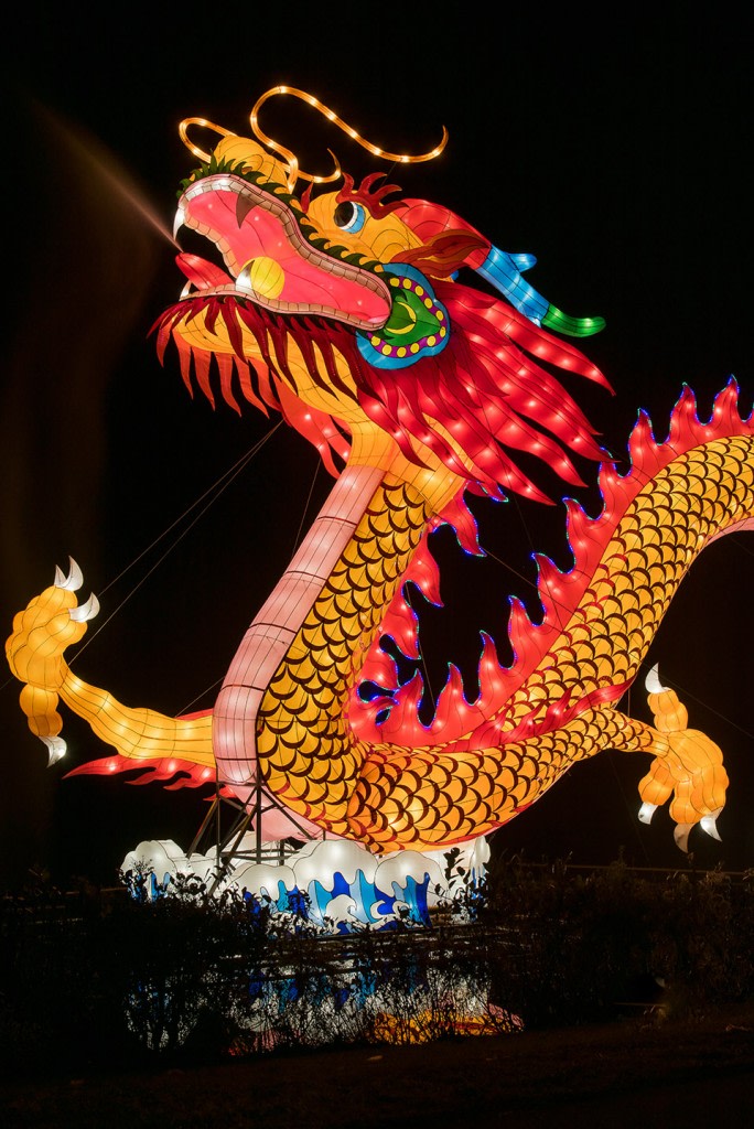Cary chinese lantern festival deals