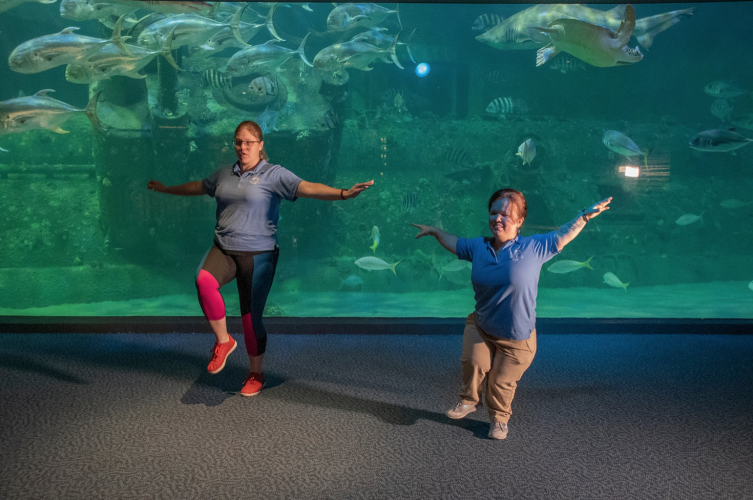 Tour N.C. Aquariums, Online or InPerson Cary Magazine