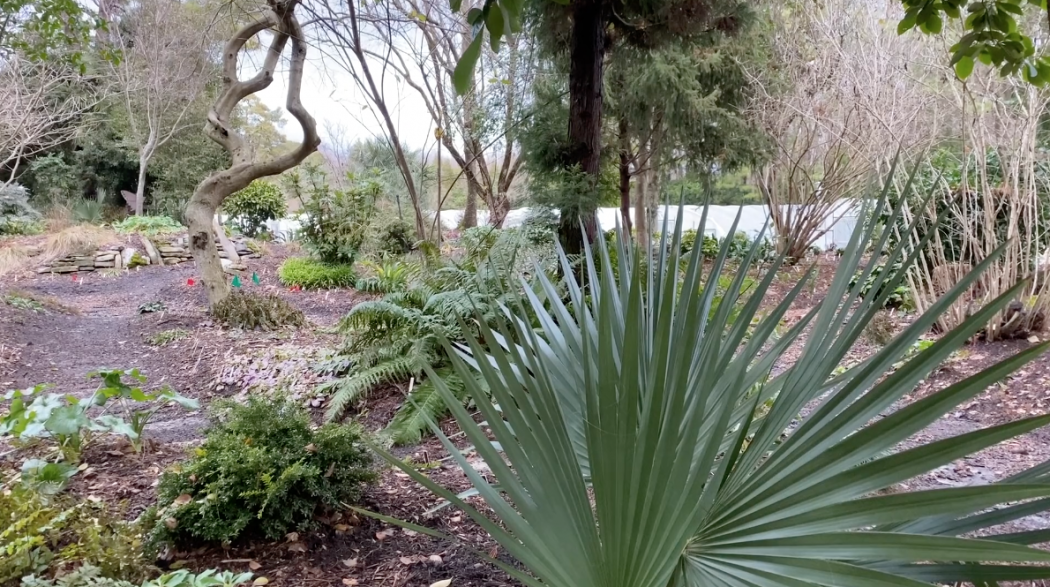 Botanic Garden Opens For Winter Tours