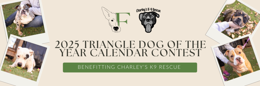2025 Triangle Dog Of The Year Calendar Contest